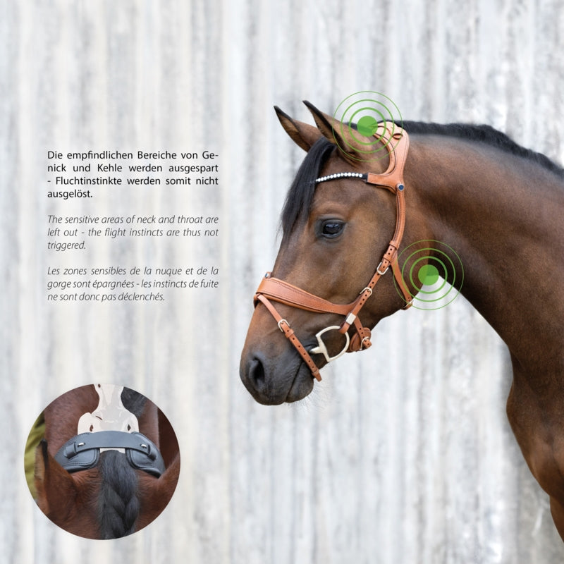 Stübben 2505 Freedom II Horse Bridle combining classic leather styling with Slide&Lock hardware.