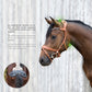 Stübben 2505 Freedom II Horse Bridle combining classic leather styling with Slide&Lock hardware.