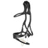 Horse wearing the Stübben 2505 Freedom II Bridle with Slide&Lock buckle closures.