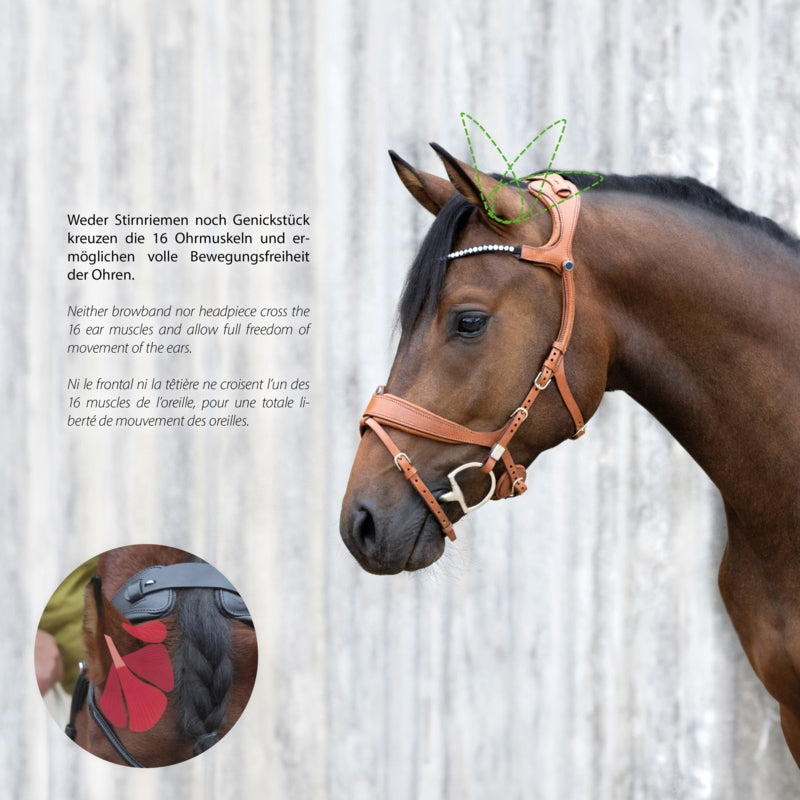 Detailed view of the Slide&Lock buckles on the Stübben Freedom II horse bridle.