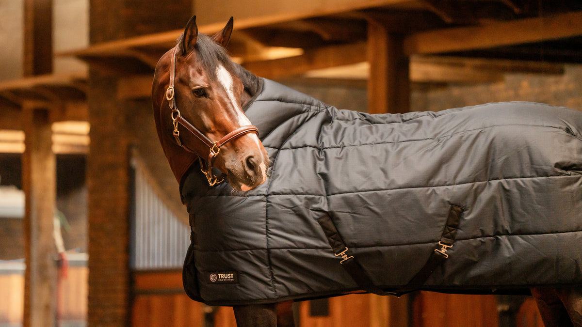 Trust Tetris Turnout Rug 100 Gram with waterproof outer fabric