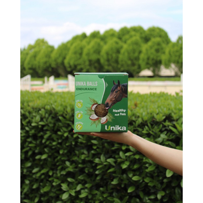 endurance horse energy lick ball with electrolytes and fats