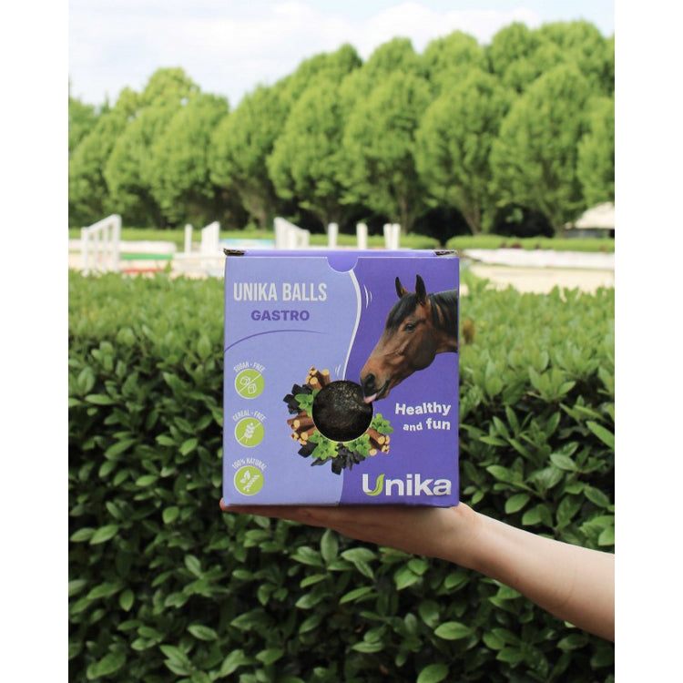 horse gastric support licking ball with charcoal