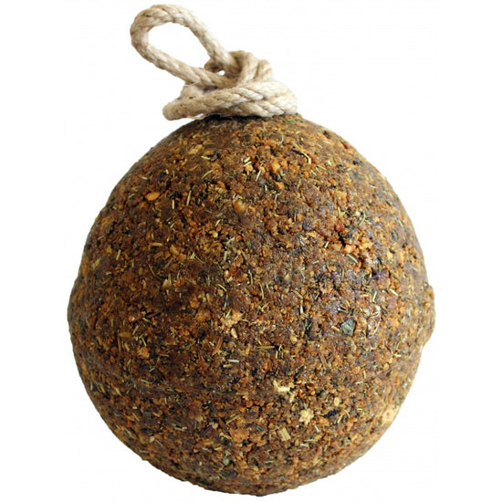 horse licking ball with thyme rosemary and mint