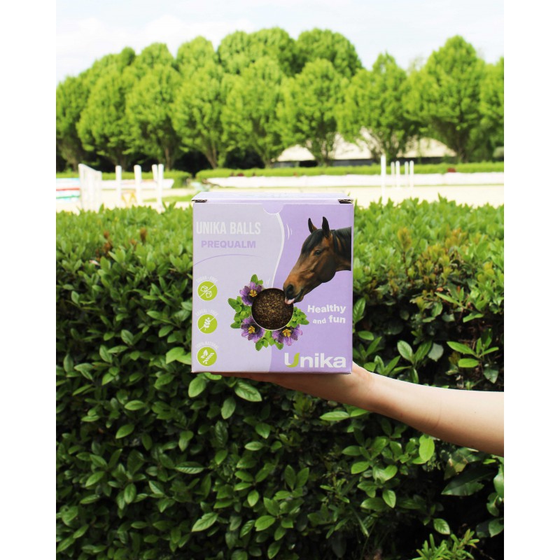 horse calming lick ball with magnesium passion flower and lemon balm