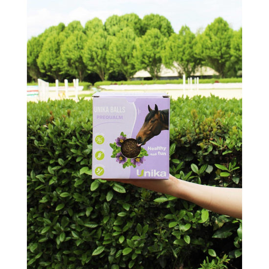 horse calming lick ball with magnesium passion flower and lemon balm