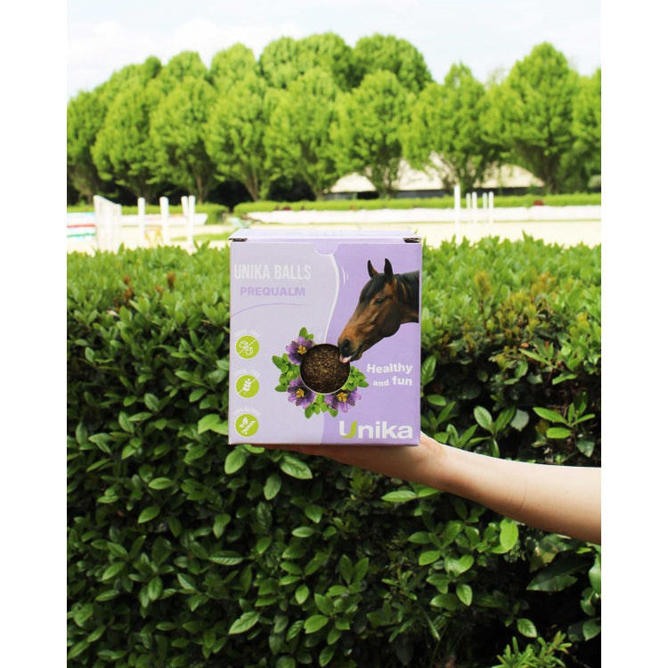 horse calming lick ball with magnesium passion flower and lemon balm