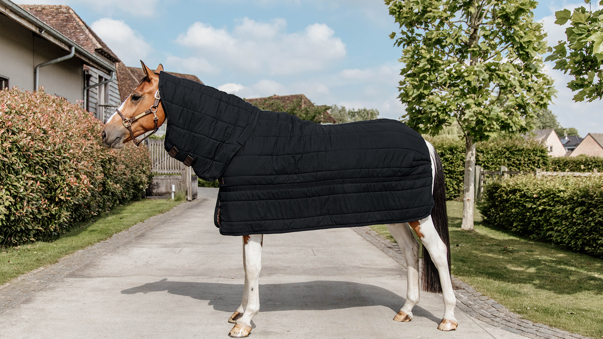 Black stable rug with neck