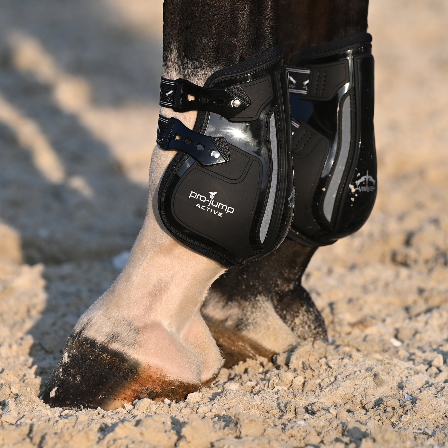 FEI-approved hind leg protection
