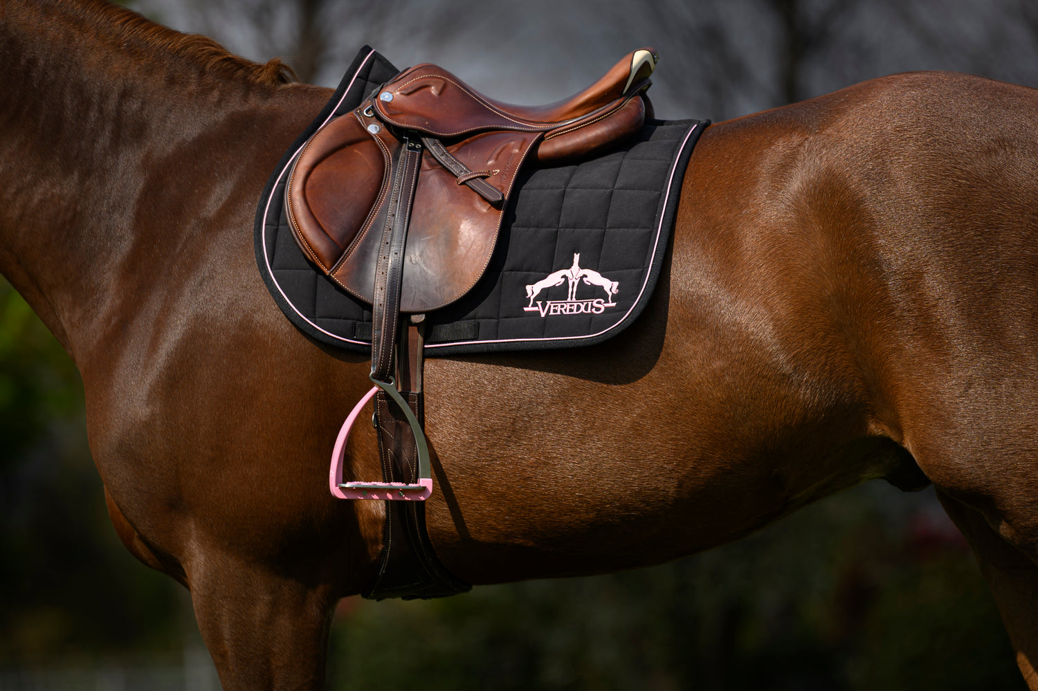 Veredus saddle pad with breathable padding