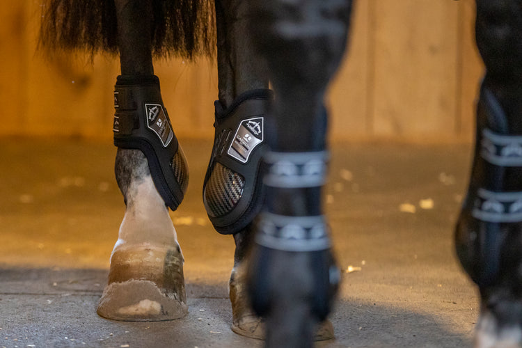 Veredus Carbon Gel Absolute Fetlock Boots Rear
