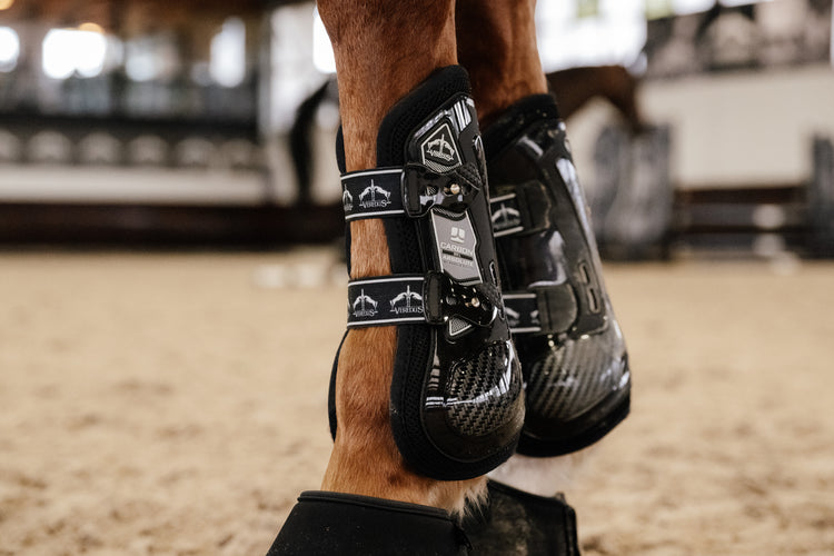Front tendon boots with carbon protection