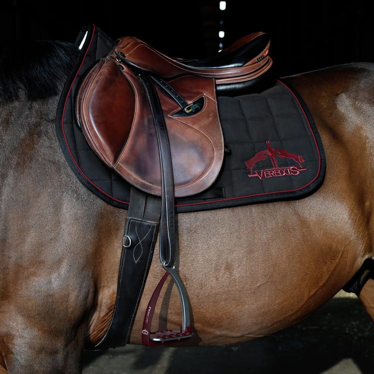 Veredus saddle pad with breathable padding