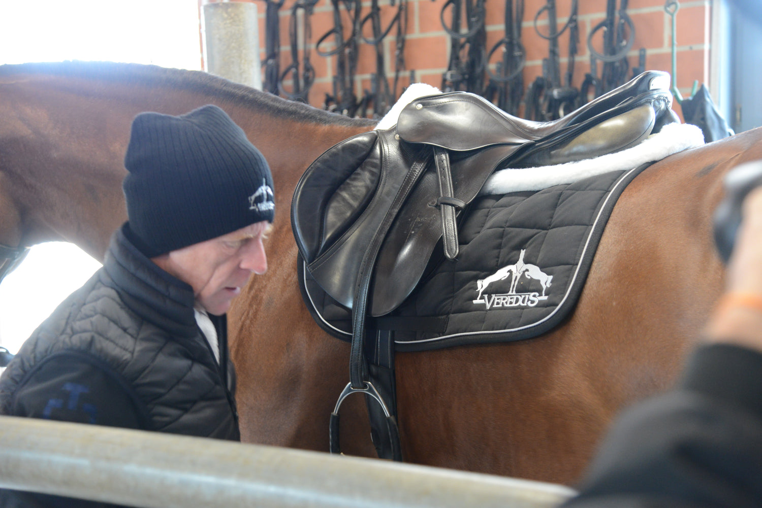 Veredus jumping saddle pad for training and competition