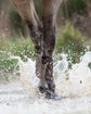Front tendon boots with Kevlar protection