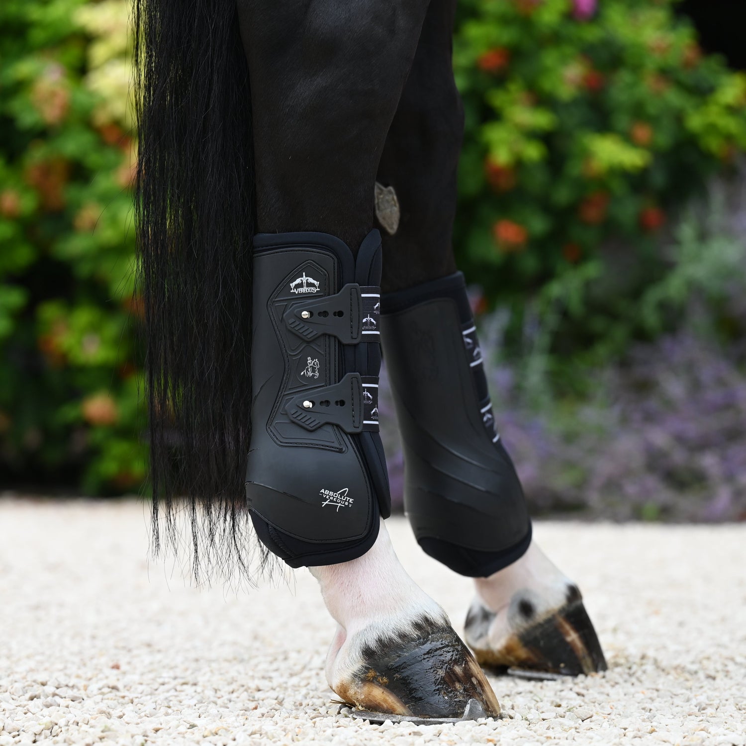 Professional rear dressage boots for horses