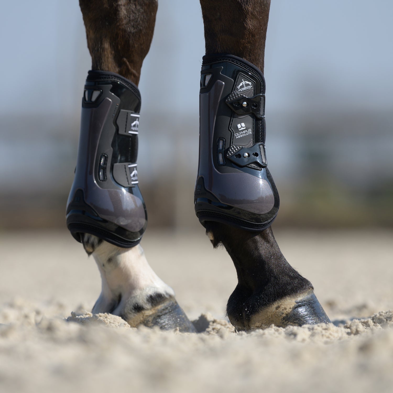 Front tendon boots with EVA protection