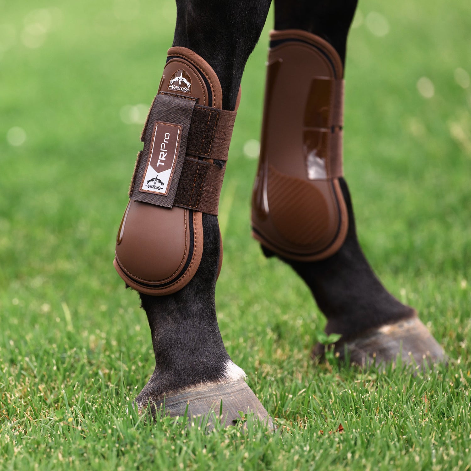 Brown Veredus training boots