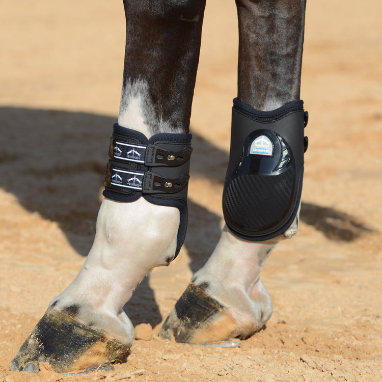 Veredus Olympus Vento fetlock boots