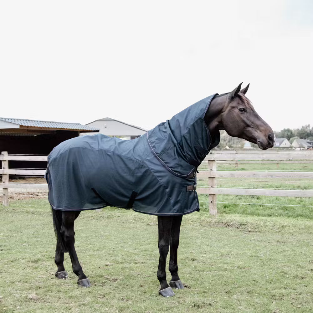 Waterproof fly rug for horses providing protection from rain and insects.