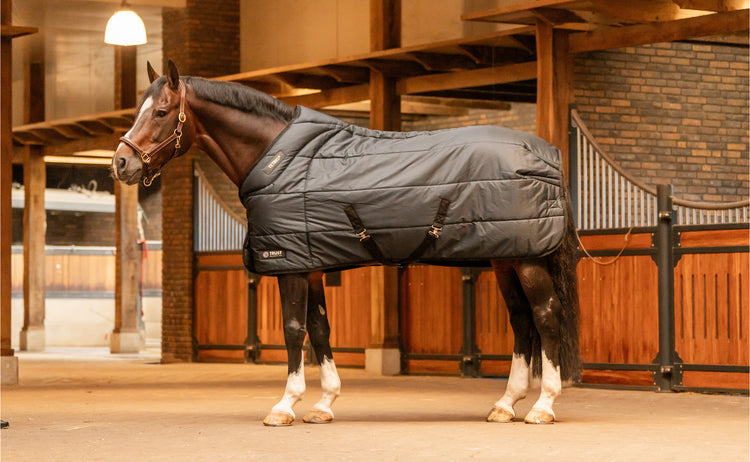 Waterproof outdoor horse turnout rug for protection against rain and wind