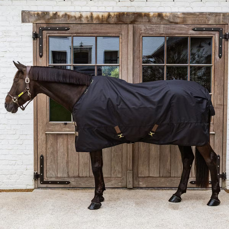 Waterproof turnout rug 0g for horses during wet transitional weather.