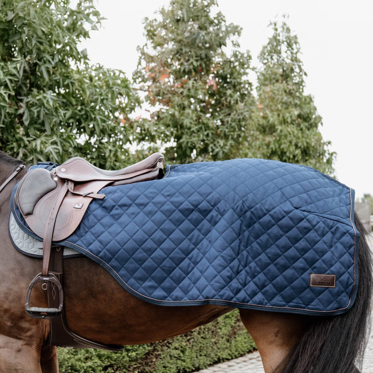 Winter riding rug for horses designed for comfortable cold weather exercise.
