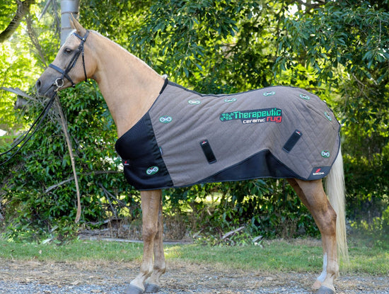 Zandona Ceramic horse rug featuring an innovative dual-therapy concept.