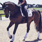 Dressurreiten mit ZANDONA