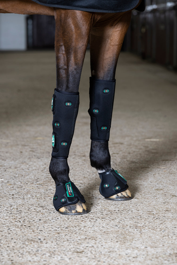 Zandona Therapeutic Air equine knee support for stable use