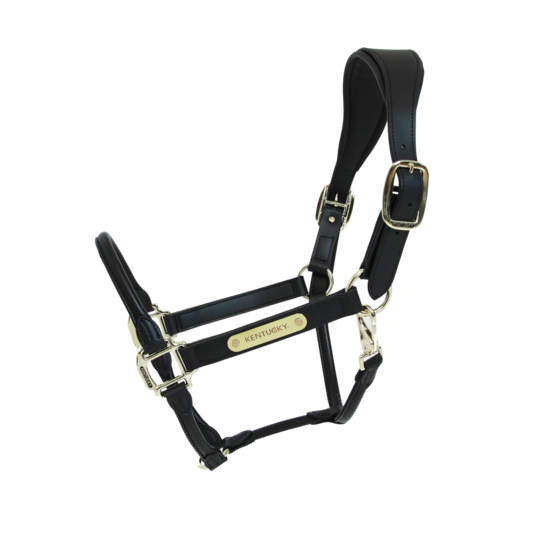 Vegan Leather Anatomic Halter