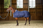 Summer Stable Rug