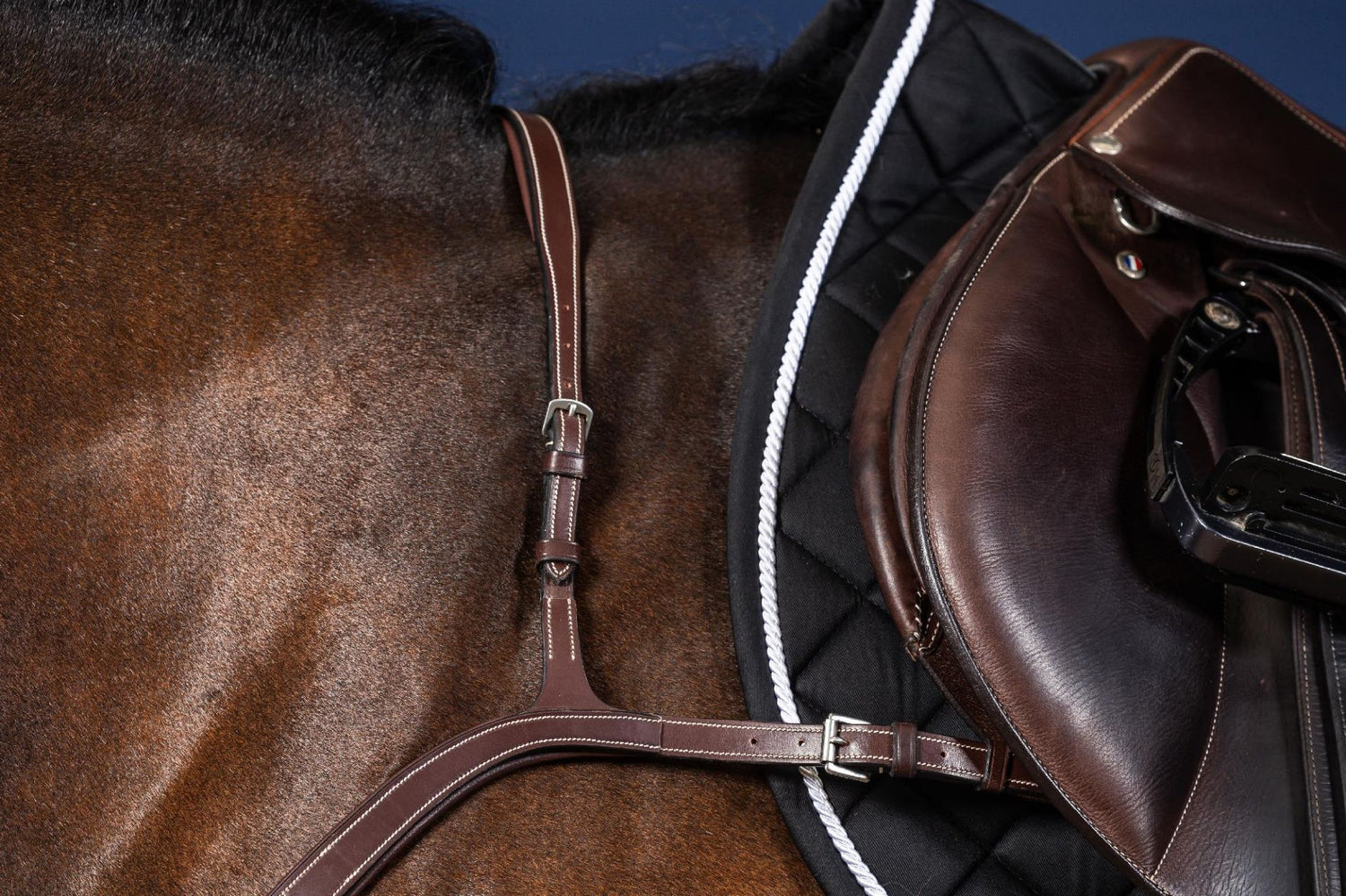 Breast collar for horses