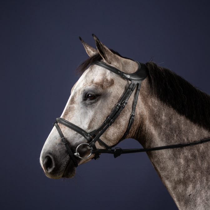 Best bridle for horses with sensitive poll