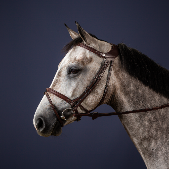 Anatomic bridle with very cut back head piece