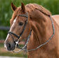 Training Bridle with bit clips