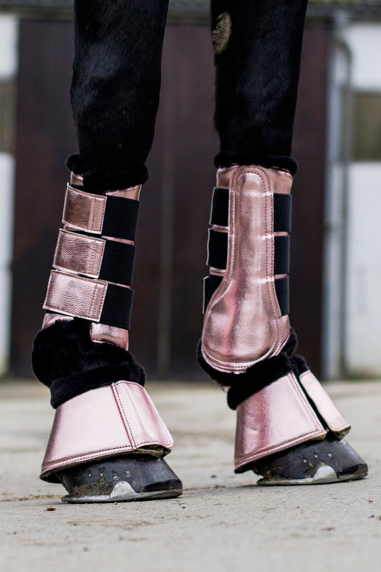 Rose Gold horse boots