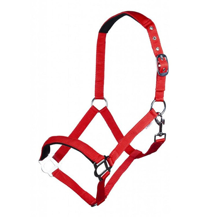 Red Head Collar Sydney Style with Soft Padding