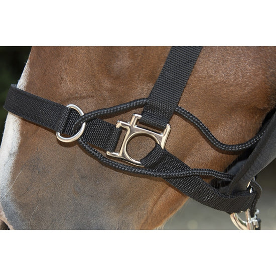 education collar for horses