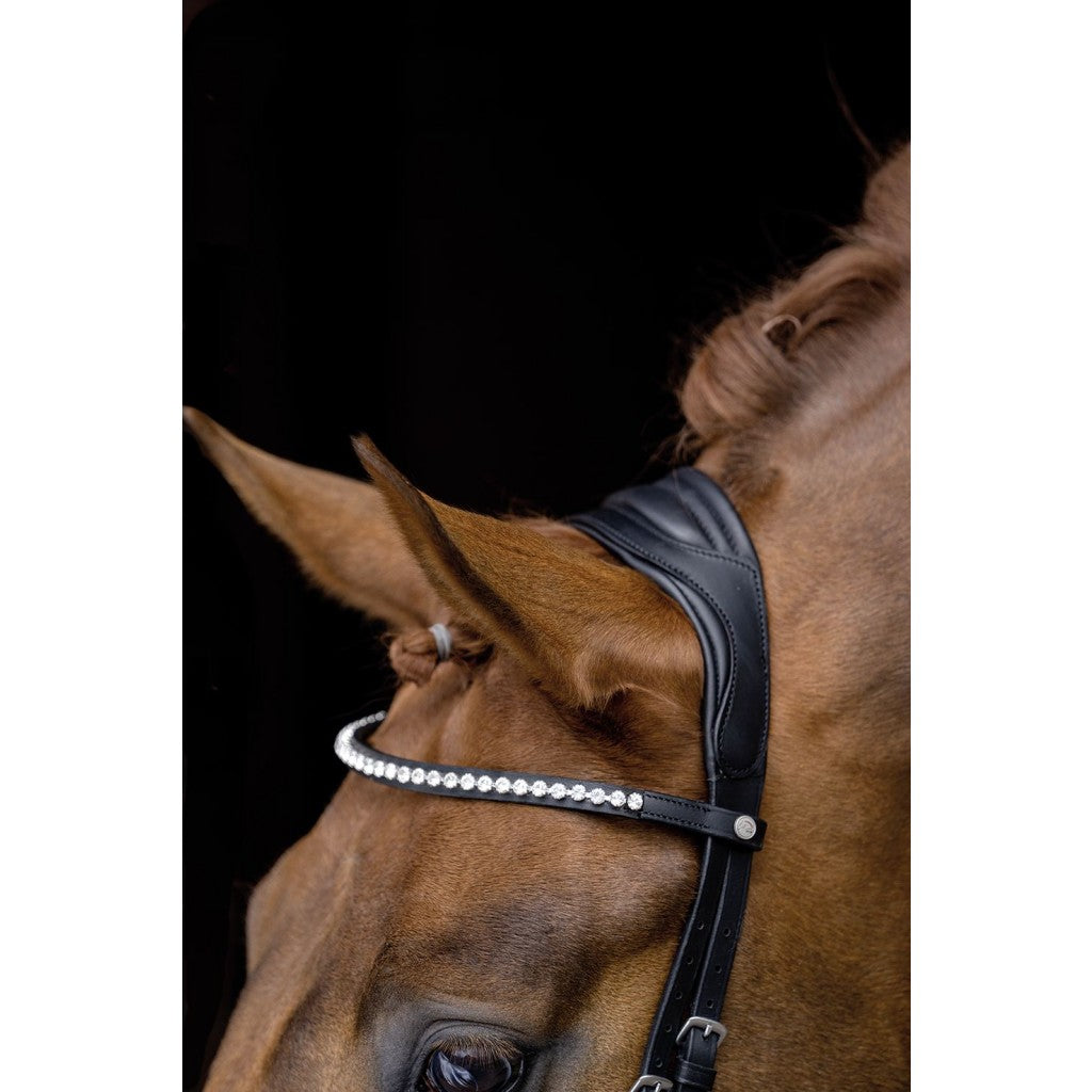 Anatomic comfort bridle for horses