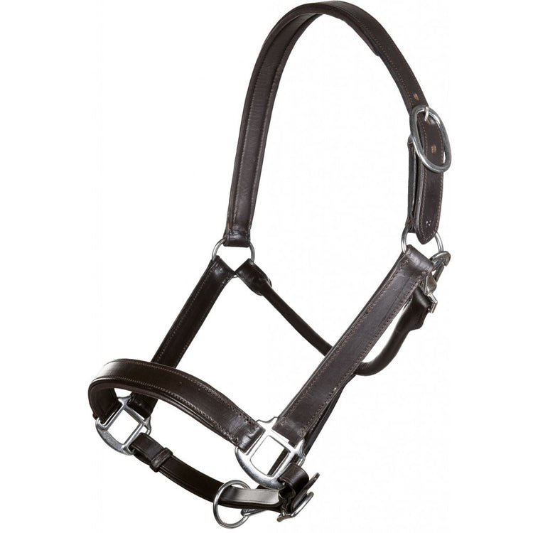 Brown leather halter for good money