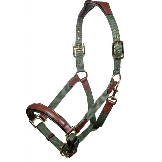Green and brown leather nylon halter