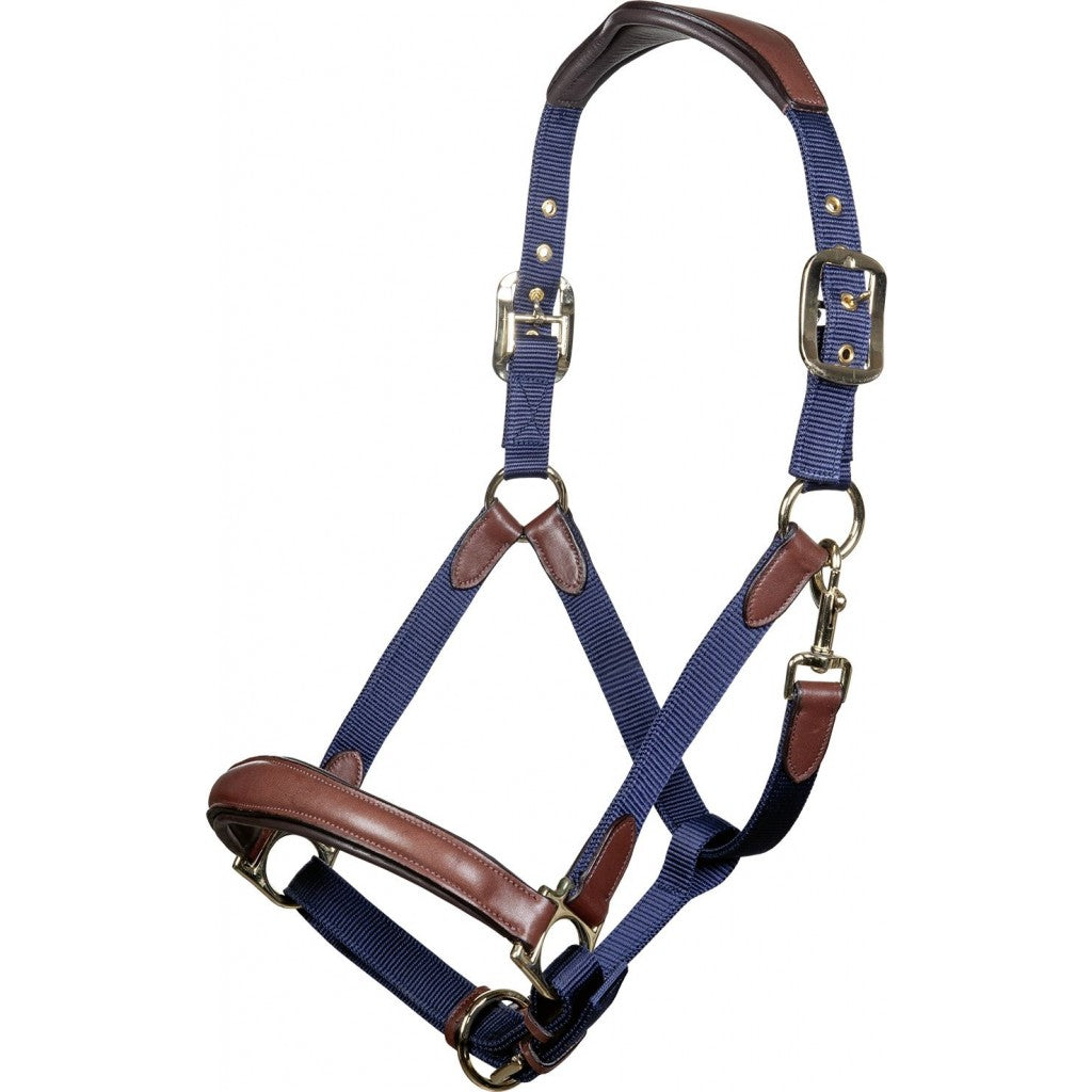 Competition halter by HKM