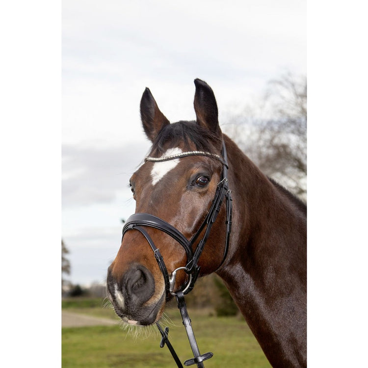 Black HKM bridle with Flash