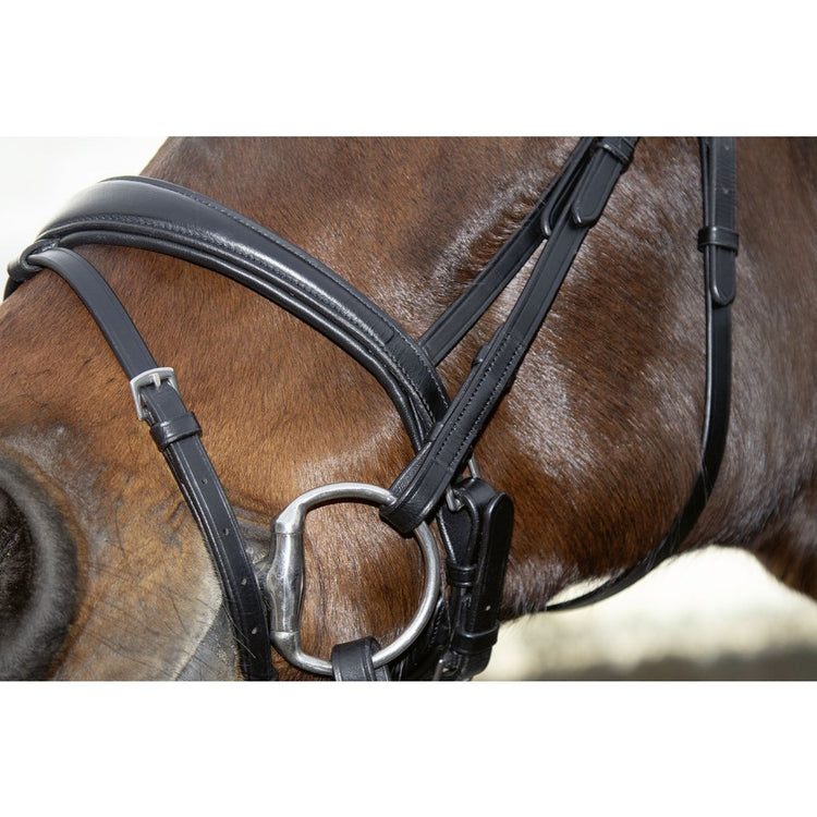 Black HKM bridle for a good price
