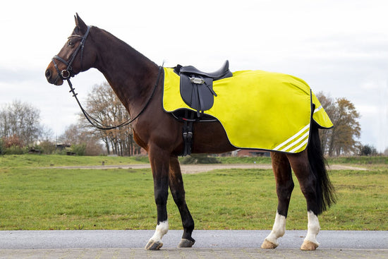 Waterproof reflective horse riding blanket