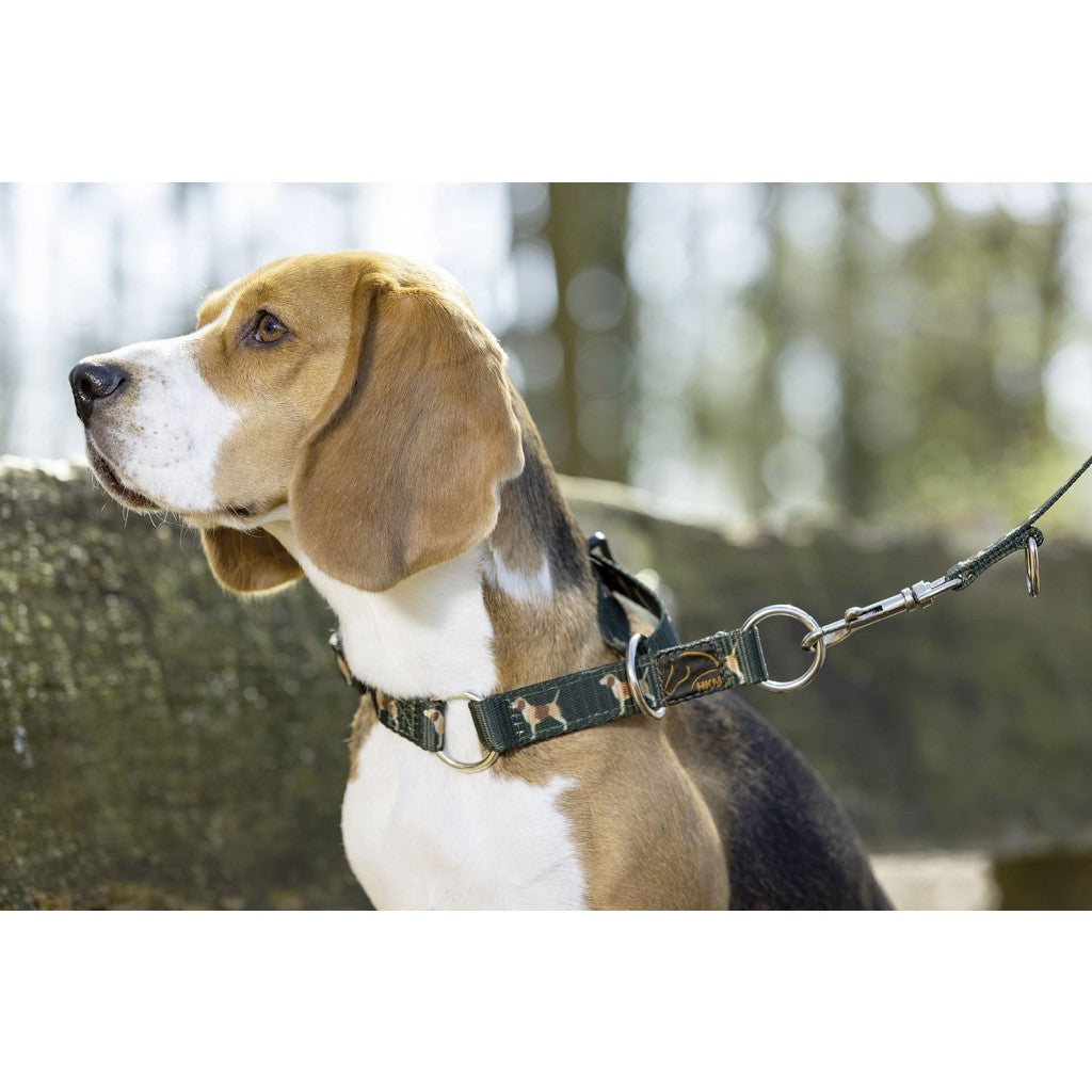 Dog Collar Beagle