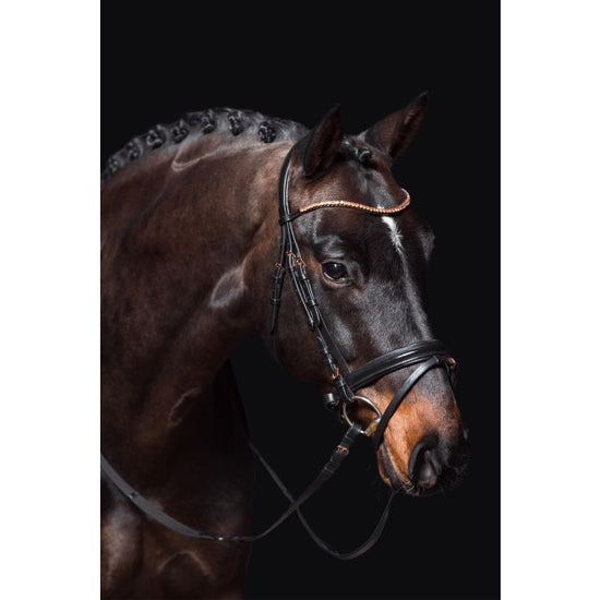 Horse bridle with rode gold