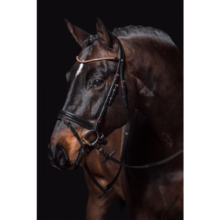 Bridle with Rose Gold