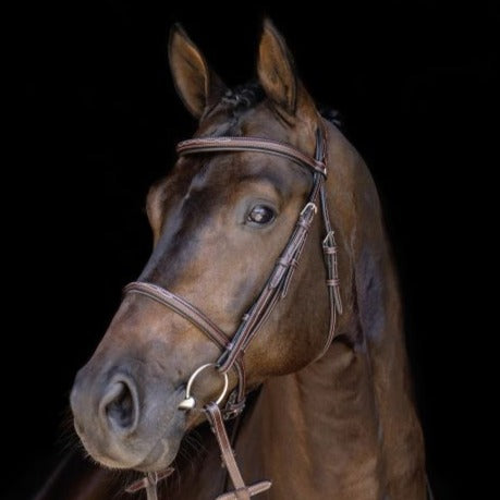 Cheap Cavesson Noseband Bridle with fancy stitch
